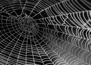 bitcoin dark web monero