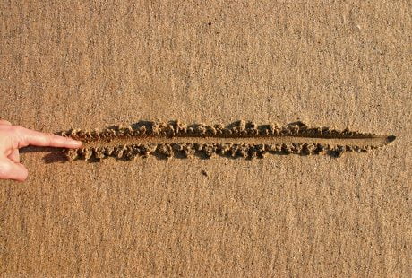 Here’s The Line Separating Bitcoin Dominance From Altcoin Season