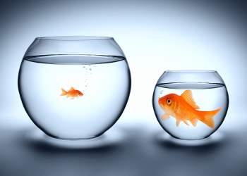 ethereum defi crypto altcoin