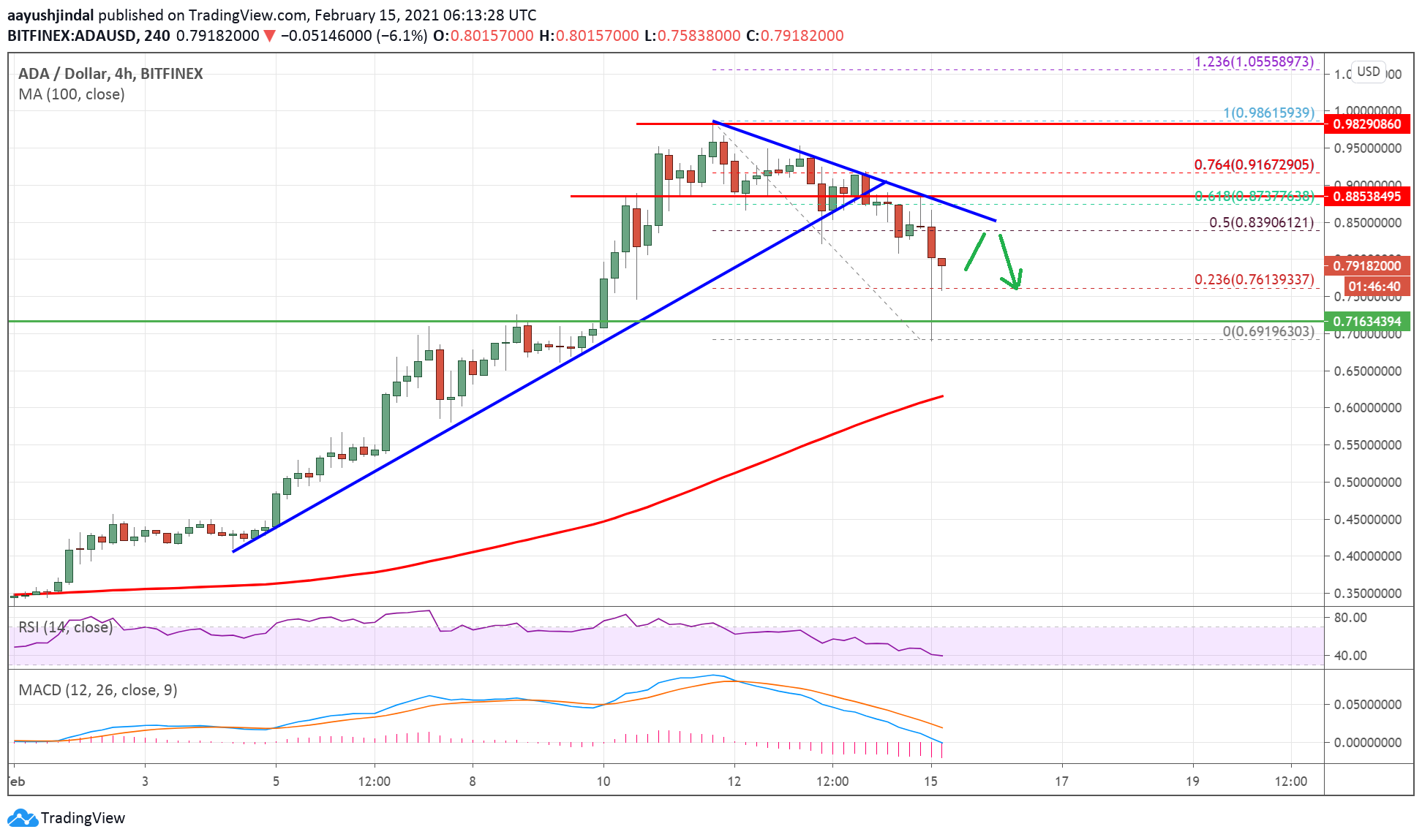 Charted: Cardano (ADA) Dives 20%, Why $0.70 Could Spark Fresh Increase