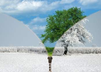 Five Signs That Say Altcoin Season Hasn’t Even Started Yet