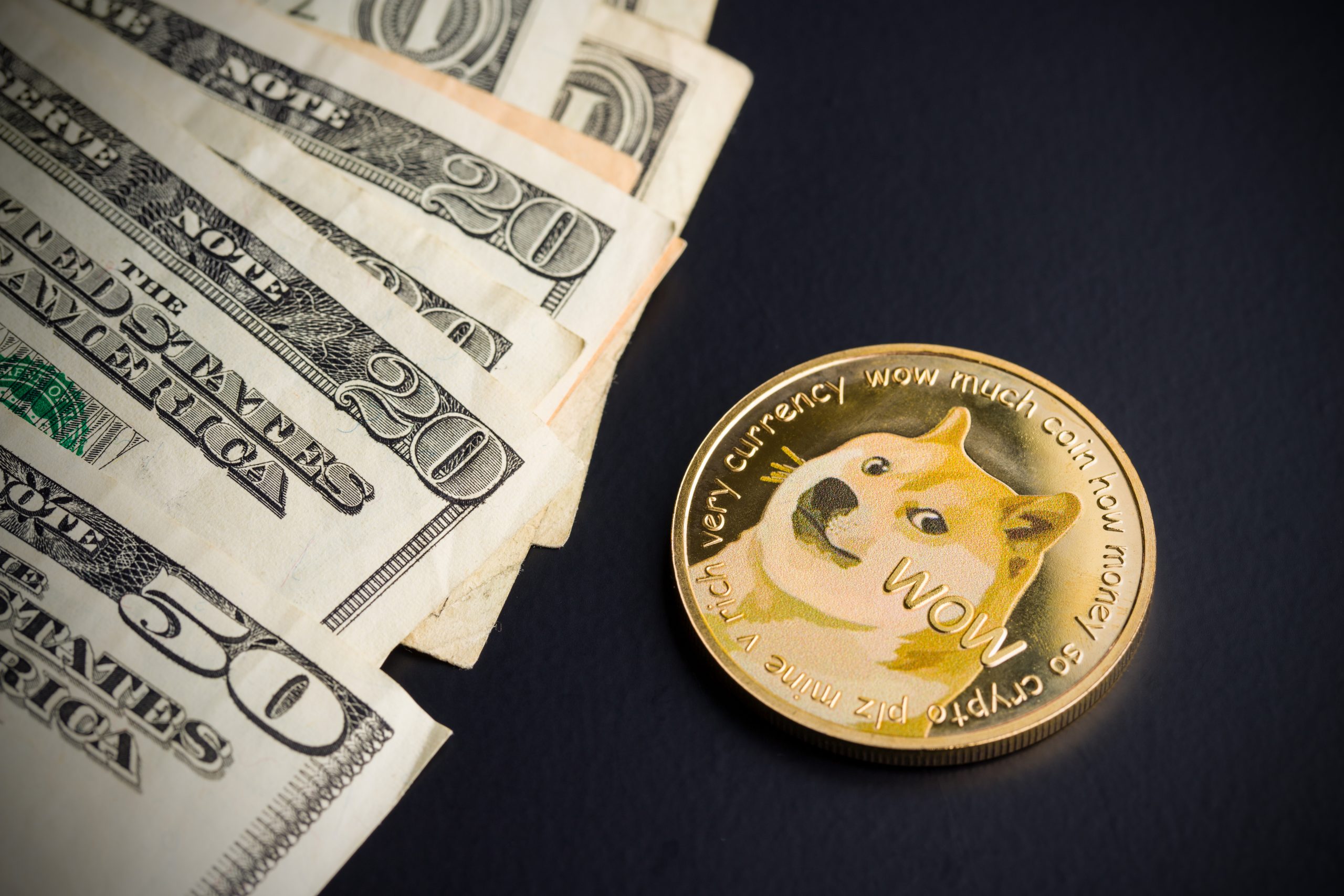 Data Shows Dogecoin Pump Was Driven By Robinhood Buyers