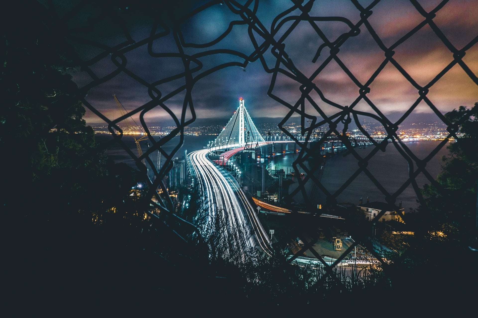 Crypto Market Analysis: 1st February 2025