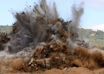 Cardano’s ADA Explodes 19% as Bitcoin Stagnates, NFT Craze Booms