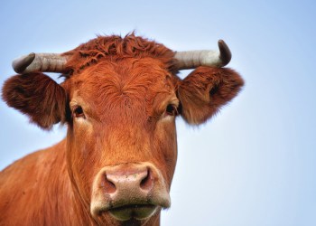 Binance, Binance Coin, Binance Smart Chain, BNBUSD, BNBBTC, BNBUSDT, BNB