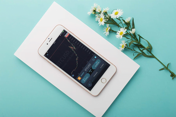 Stuff Your Wallets with $2025! Get 20% Off Trades This Spring