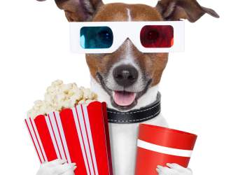 ethereum showtime alt season