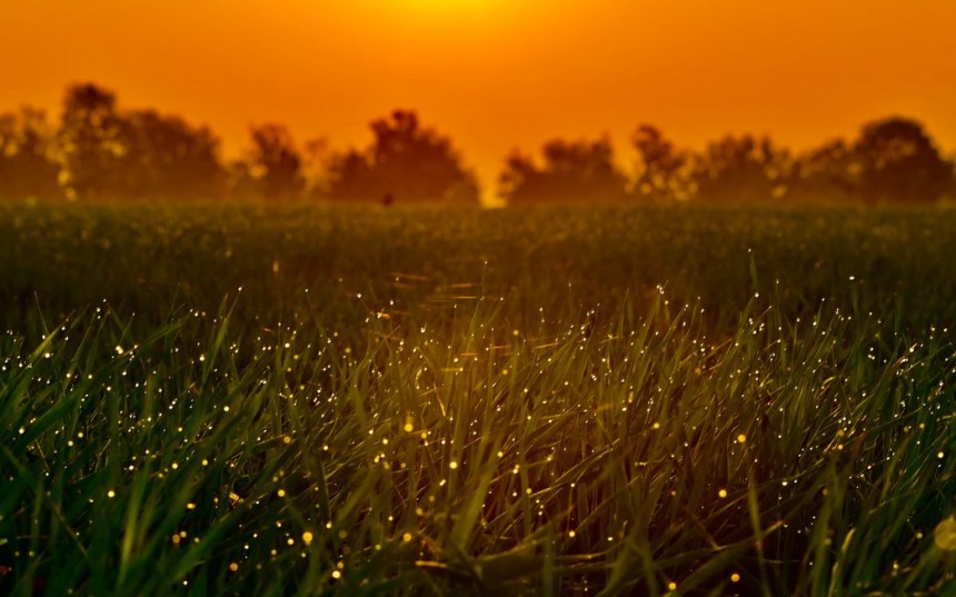 IOTA MIOTA MIOTAUSDT