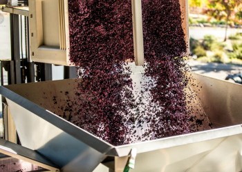 Vitalik Buterin SHIB Ethereum ETHUSD