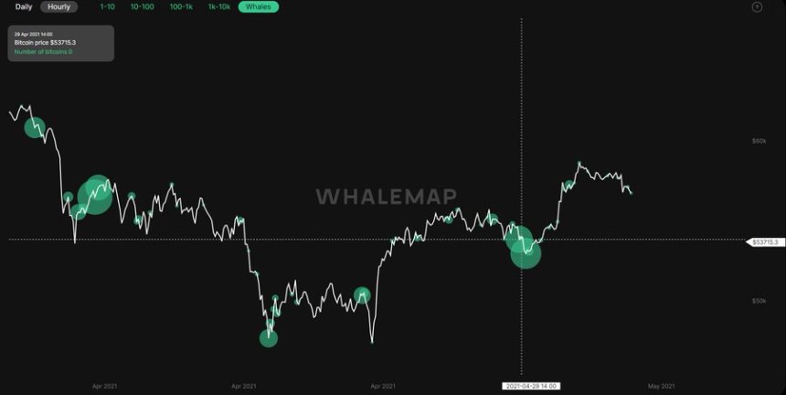 WhaleMap BTCUSD