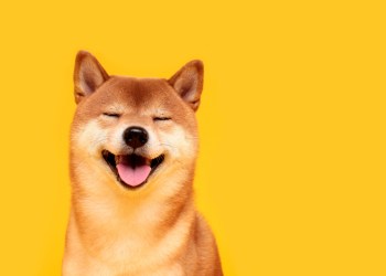 dogecoin