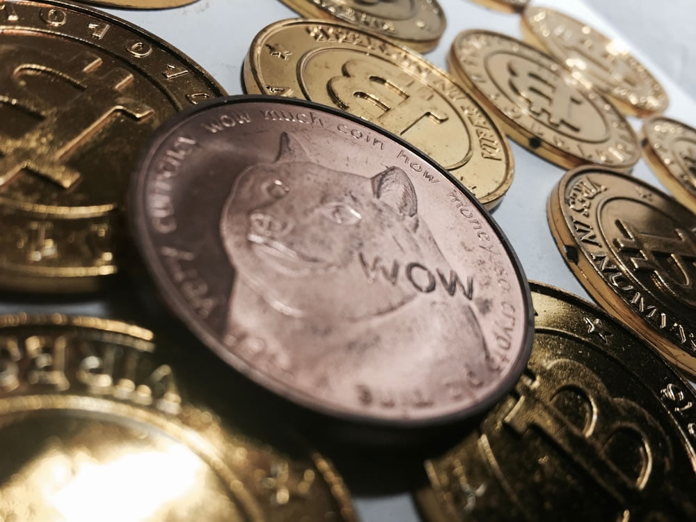 Dogecoin’s Triumph Is A Snub Of The Monetary System