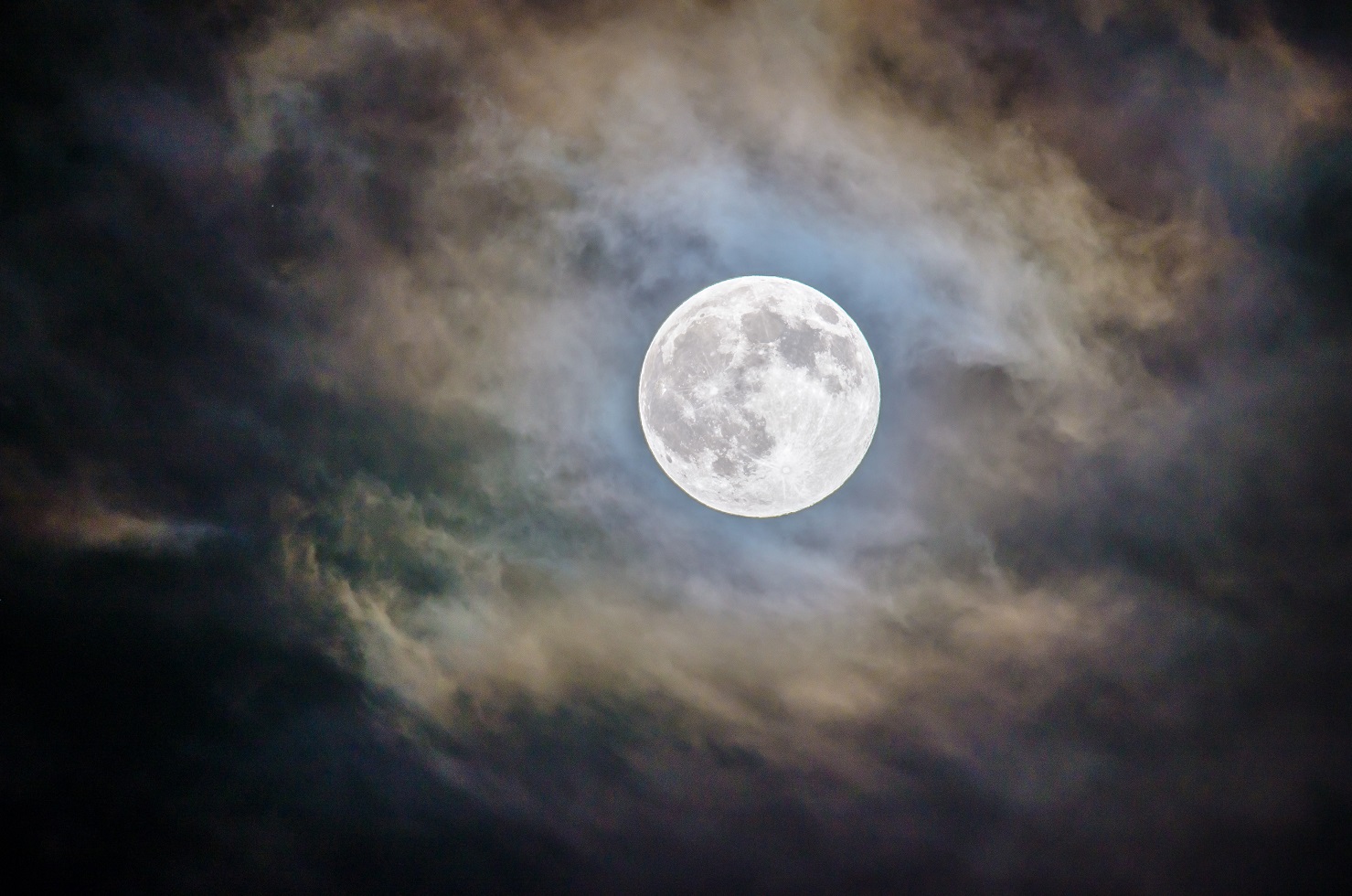 Elon Musk's Doge Moon