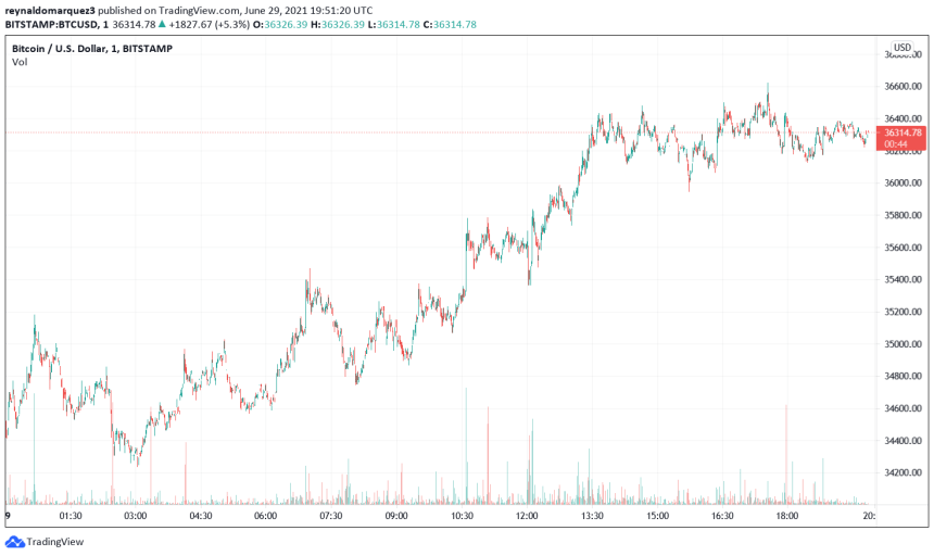 Bitcoin BTC BTCUSD