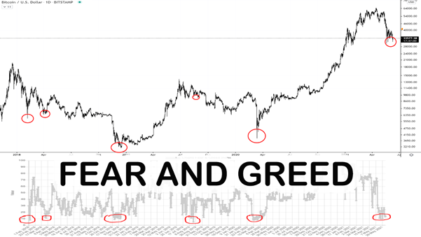 How Extreme Fear In Crypto Correlates With Bitcoin Bottoms