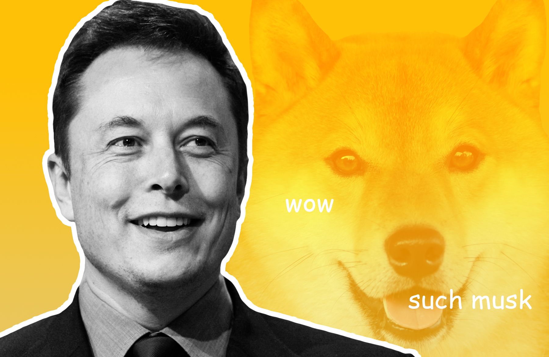 Elon musk shiba inu coin