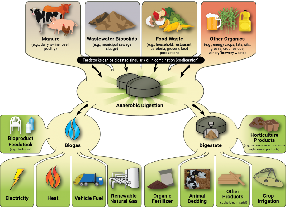 El biogás a través de la digestión anaeróbica puede impulsar la minería de criptomonedas 
