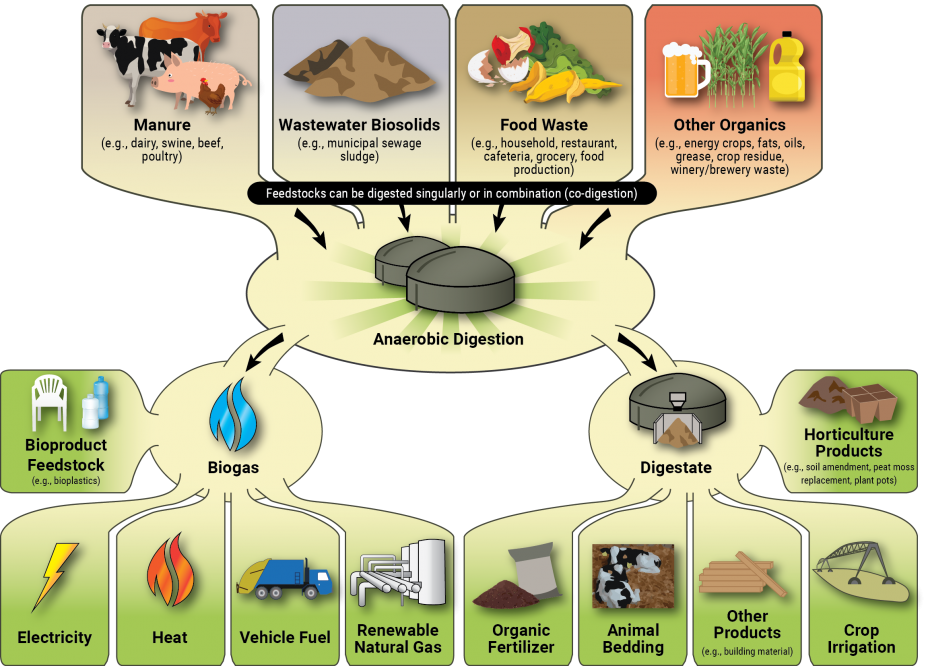 Biogas through anaerobic digestion can power cryptocurrency mining 