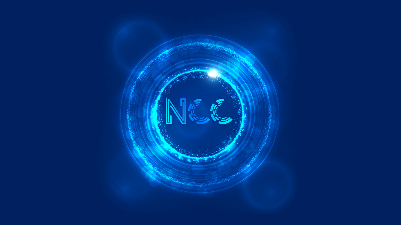 netcoin capital