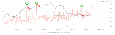 Bitcoin Whale Ratio