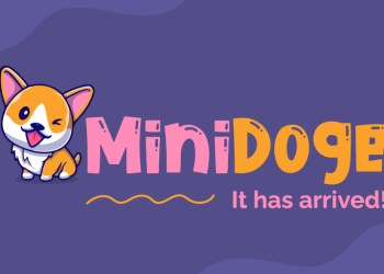 MiniDOGE
