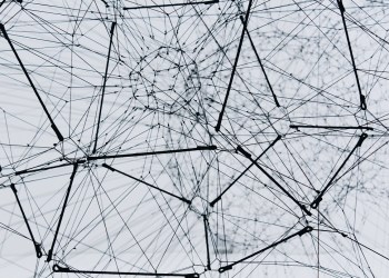 Litecoin, a B&W network of connections
