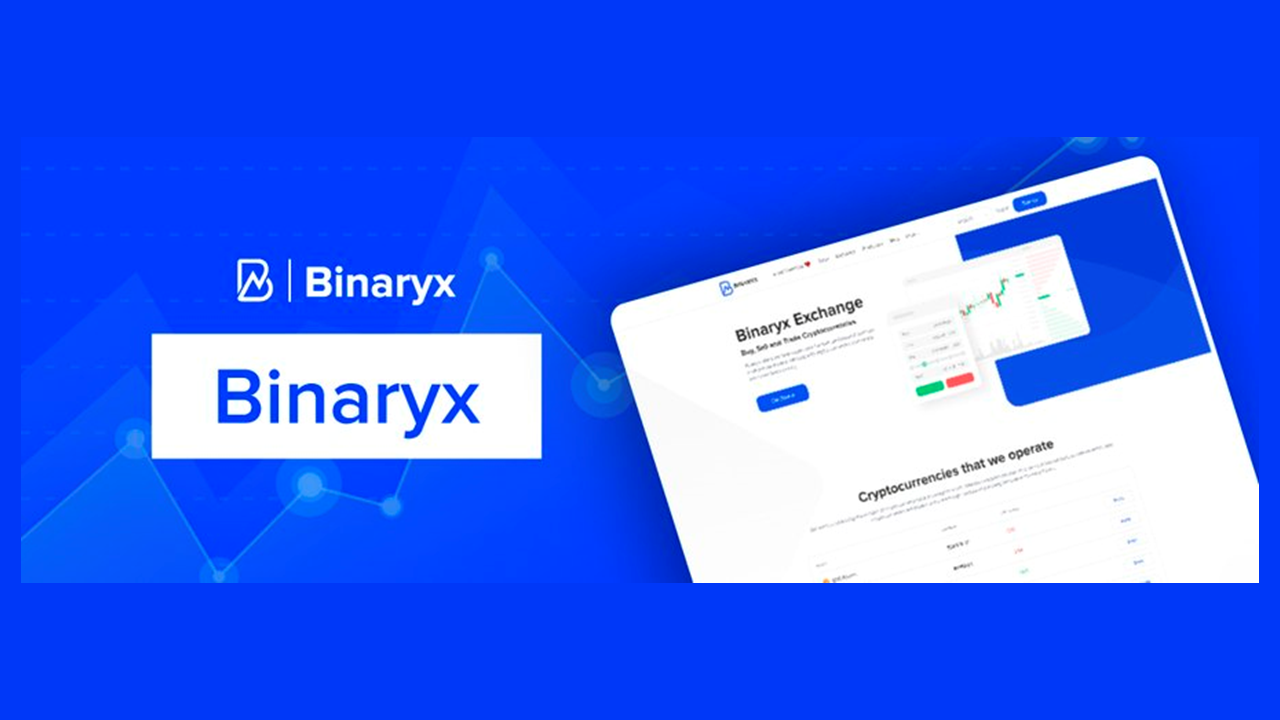 binaryx