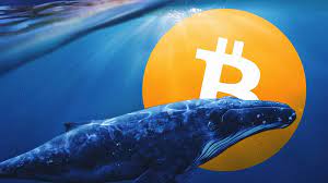 Picture of a whale next to a bitcoin