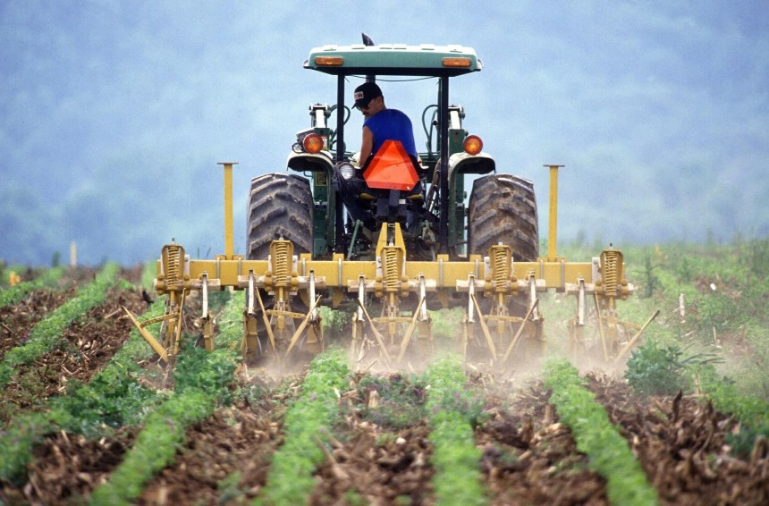 yield farming