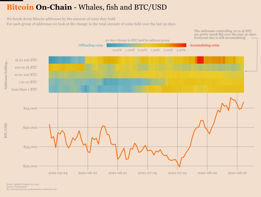 Bitcoin BTC BTCUSD