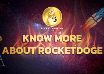 RocketDoge – Learn from the Best and Further
