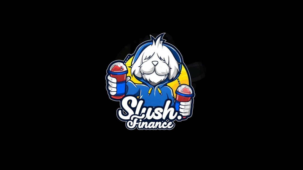 Slush Finance