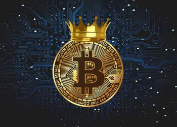 picture of a bitcoin with a gold crown on it