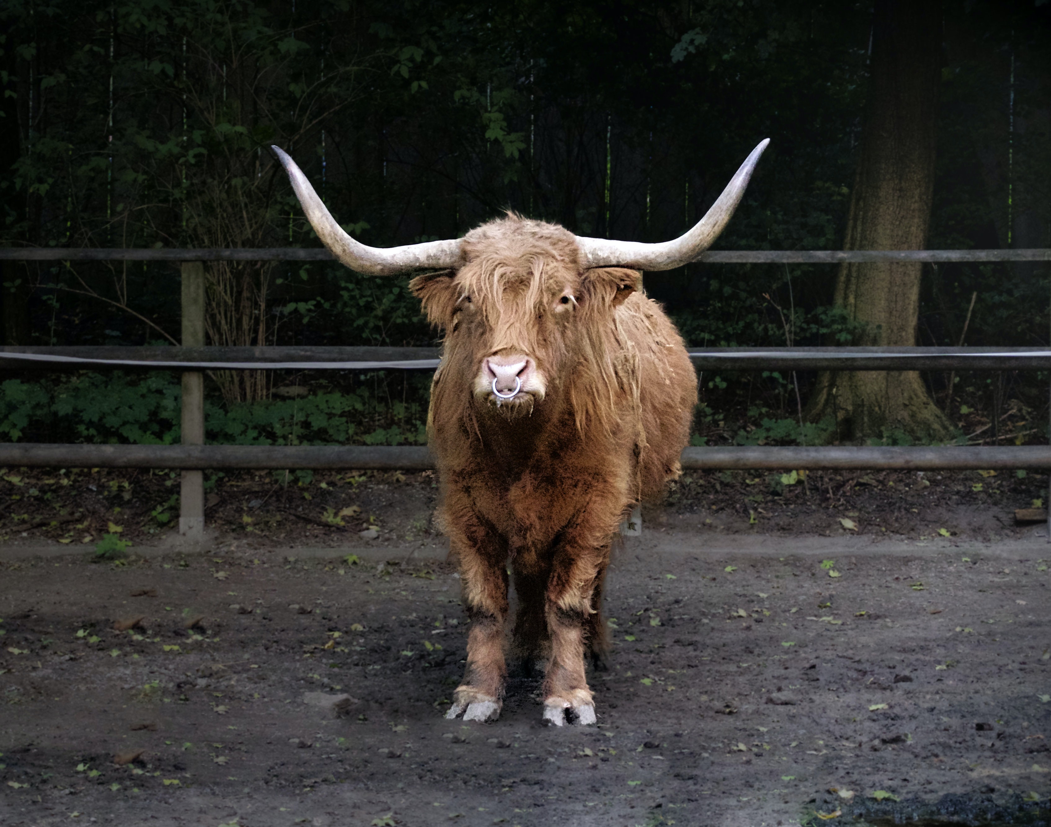 The Bullish Bitcoin Crossover No One Is Paying Attention To