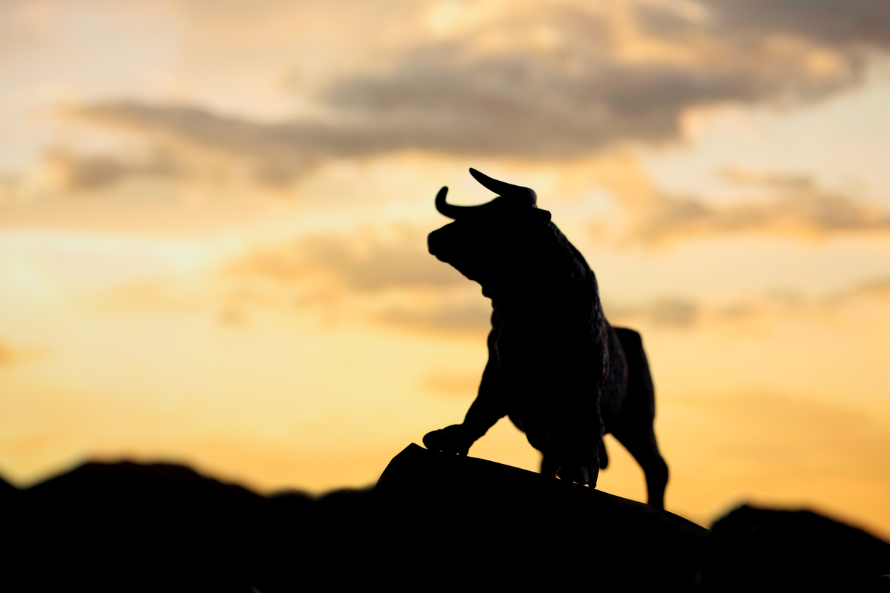 total crypto market bull zone RSI