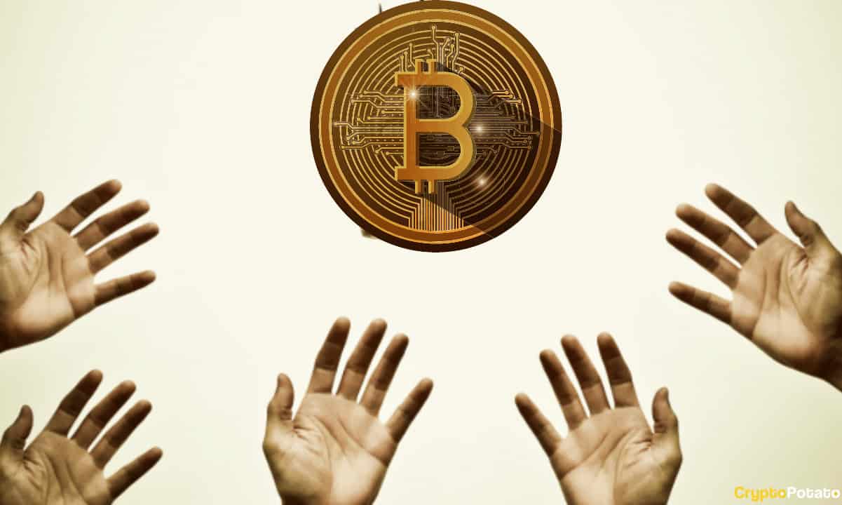 bibendum originale btc hector come scambiare bitcoin usd