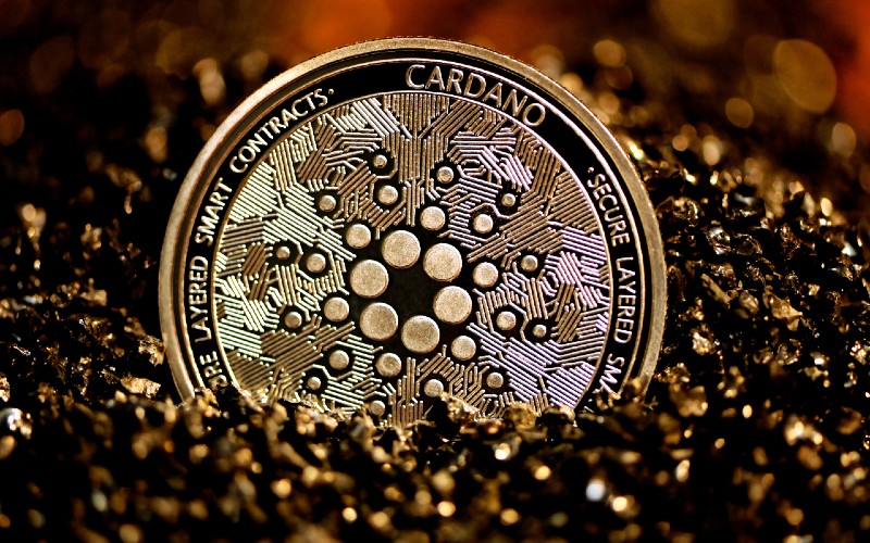 Picture of a gold and black Cardano coin half-sunk into the sand