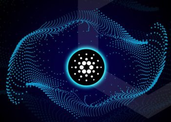 Picture of a Cardano logo in the middle of a web-like floating net