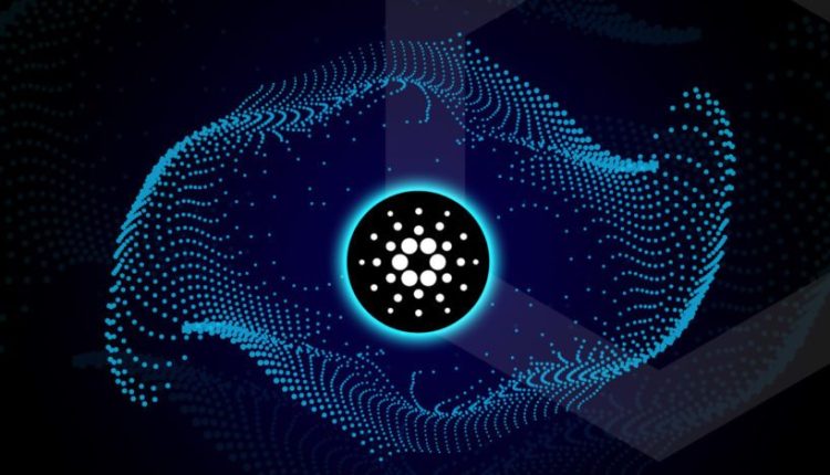 Picture of a Cardano logo in the middle of a web-like floating net
