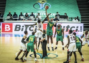 bitci, fiba