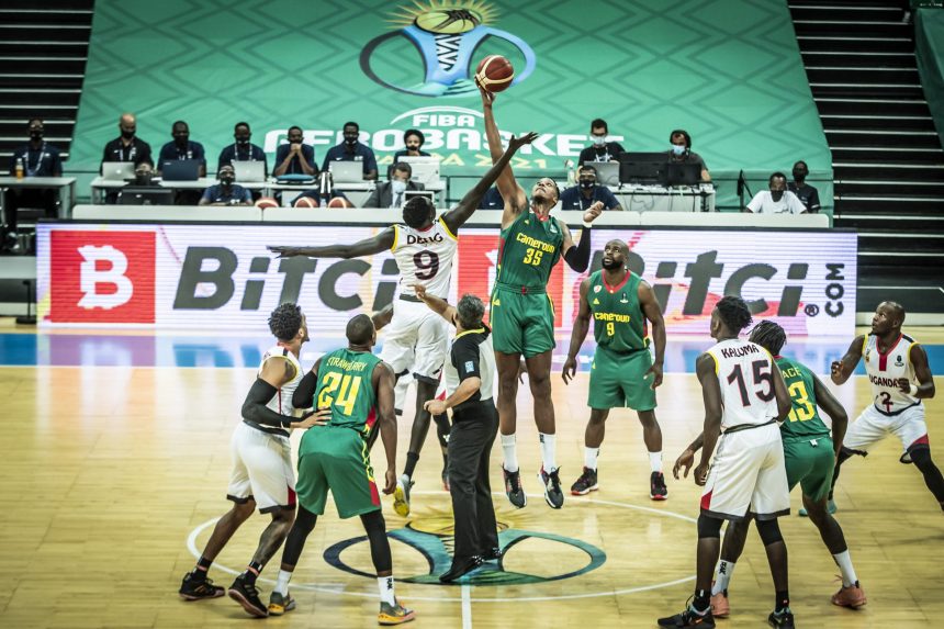 bitci, fiba