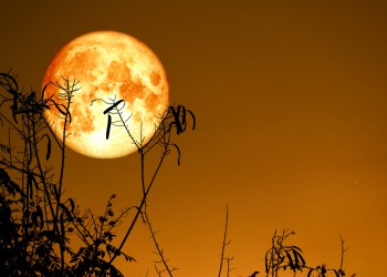 bitcoin harvest full moon astro crypto