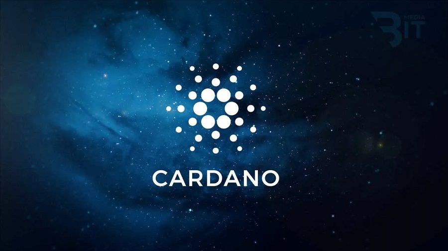 Picture of a Cardano logo with the galaxy behind it
