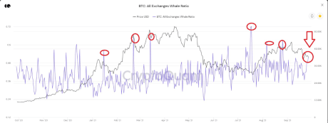 Bitcoin Whale Ratio