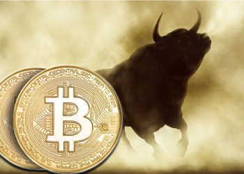 Picture of a shadowy bull emerging from smoke with two gold bitcoins in front of it