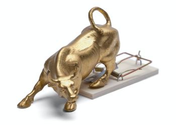 Picture of a bull caught in a mouse trap