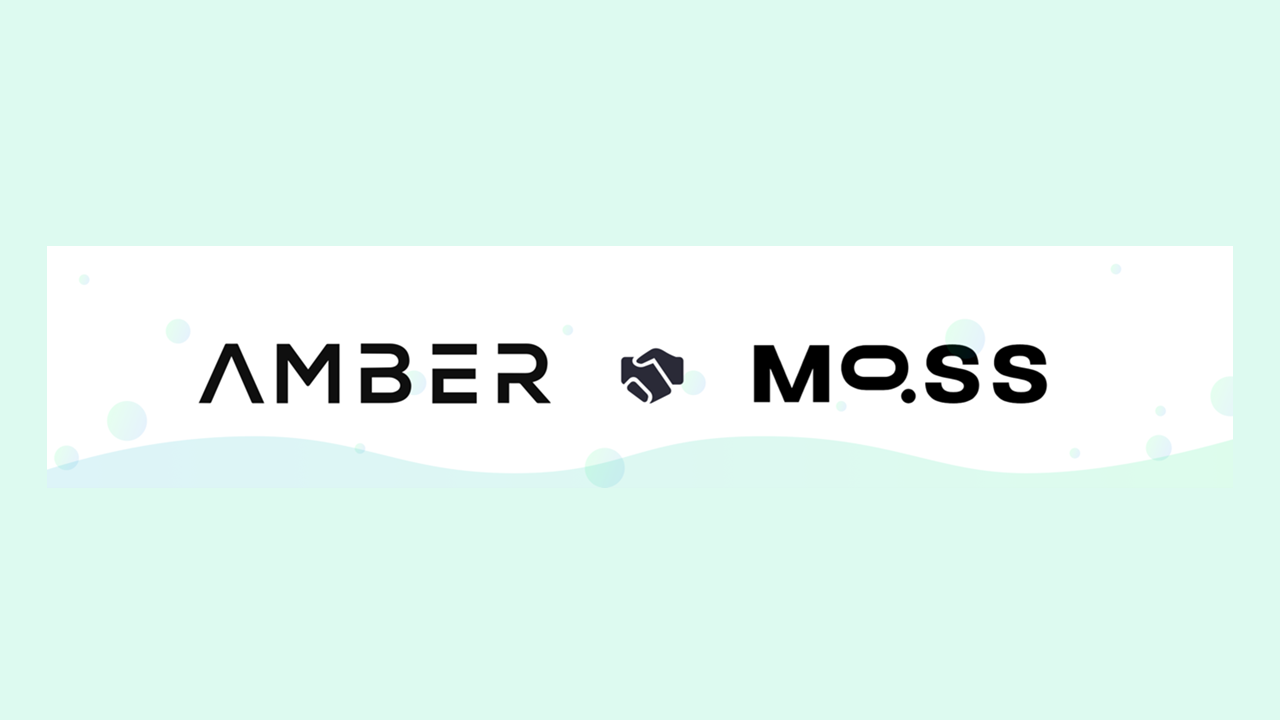 amber group