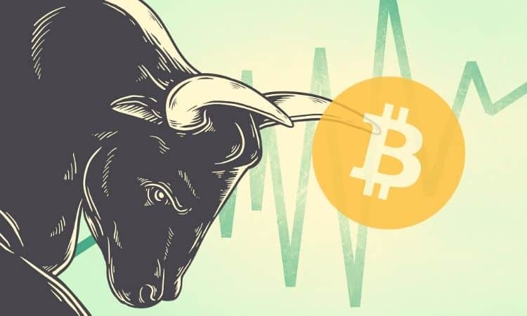 Picture of a bull with its horns pointed at a bitcoin