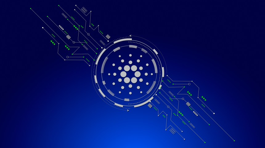 Picture of a Cardano logo