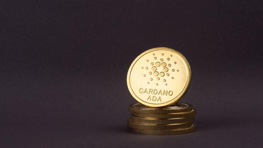 Picture of a old Cardano coin standing on a stack of coins